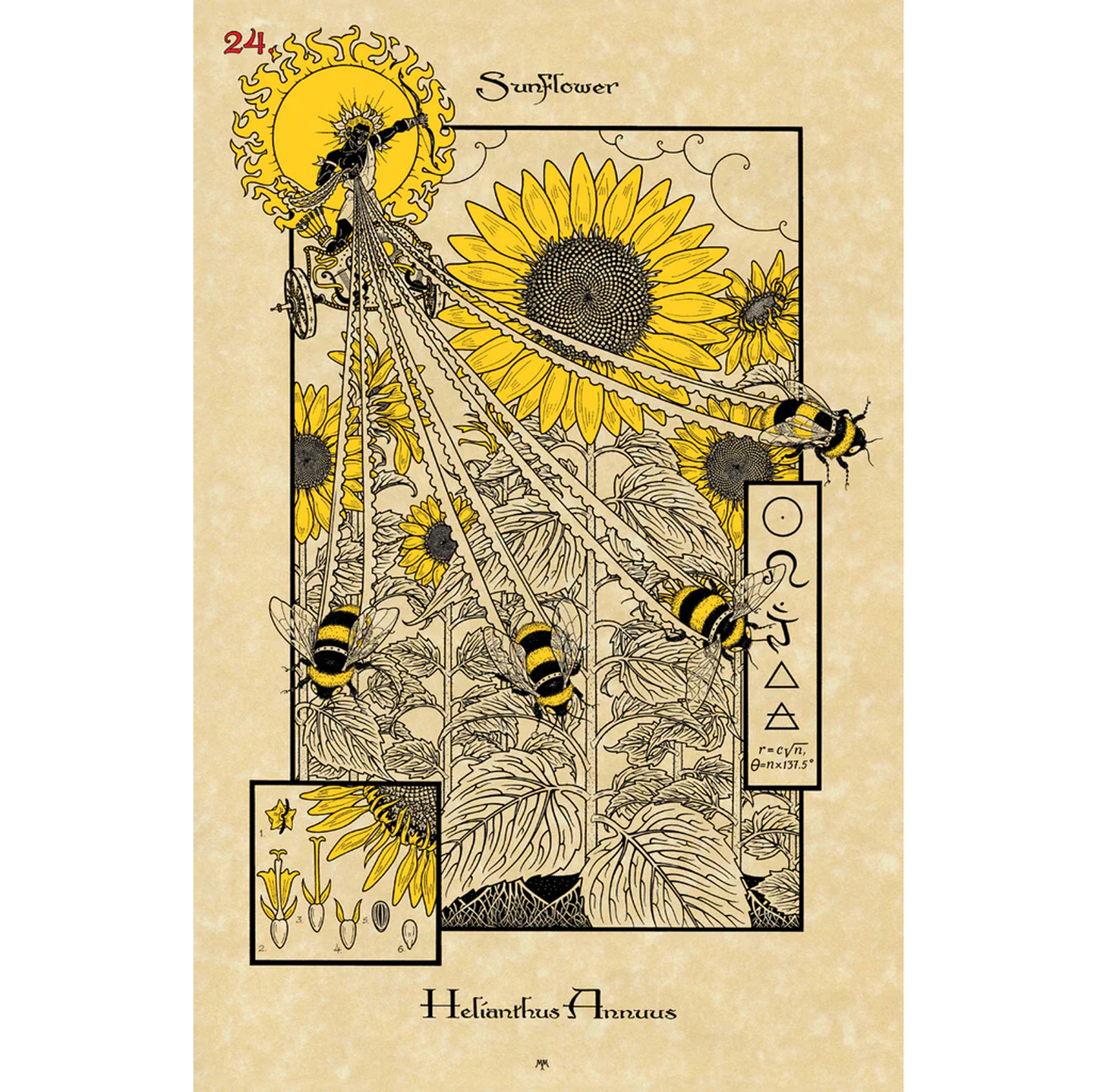 Tarocchi | Magickal Botanical Oracle | Lo Scarabeo