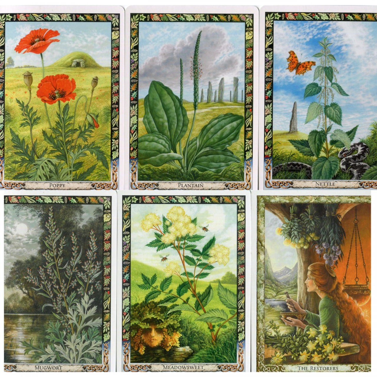 Tarot Cards of the Fairies | The Scarab | Giacinto Gaudenzi