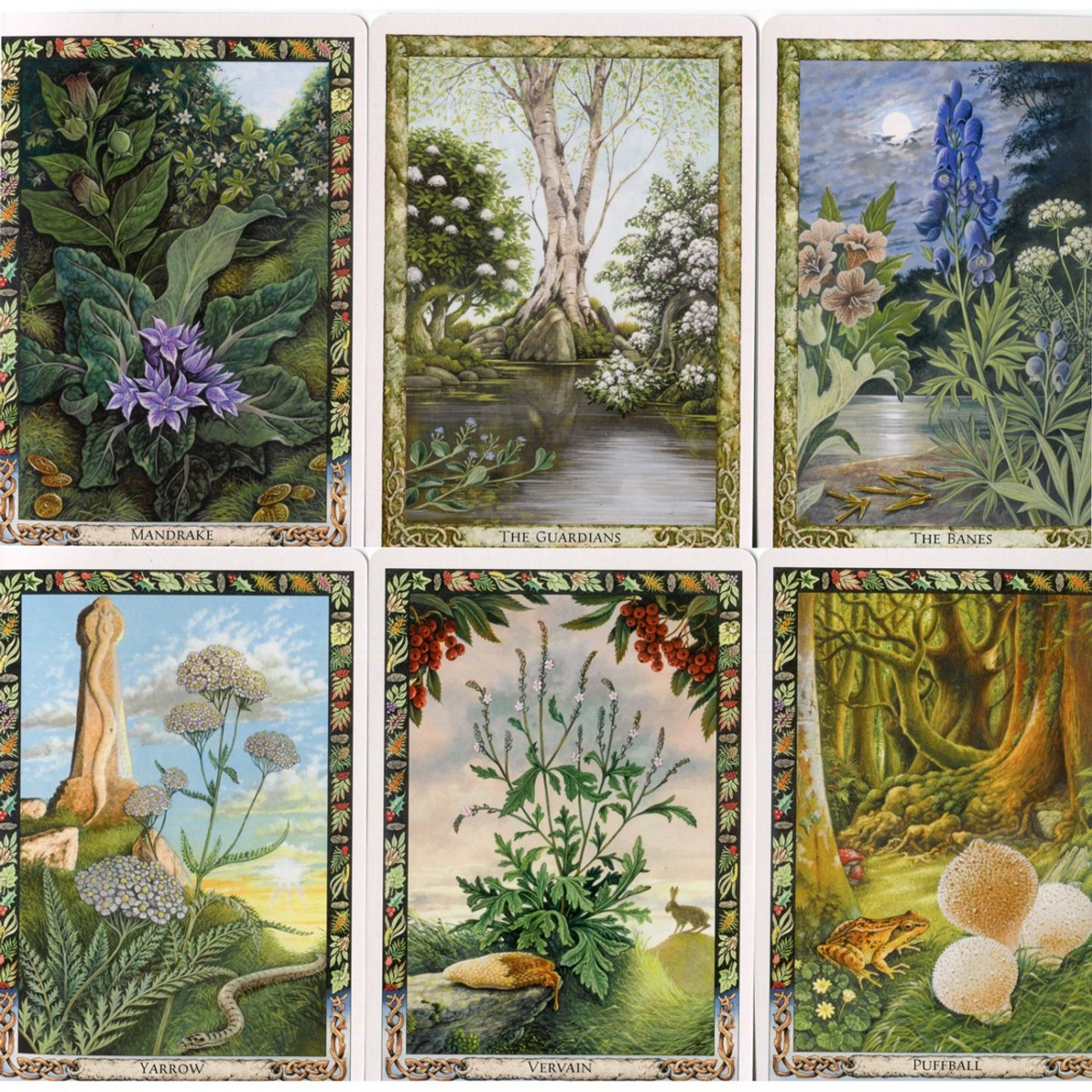 Tarot Cards of the Fairies | The Scarab | Giacinto Gaudenzi
