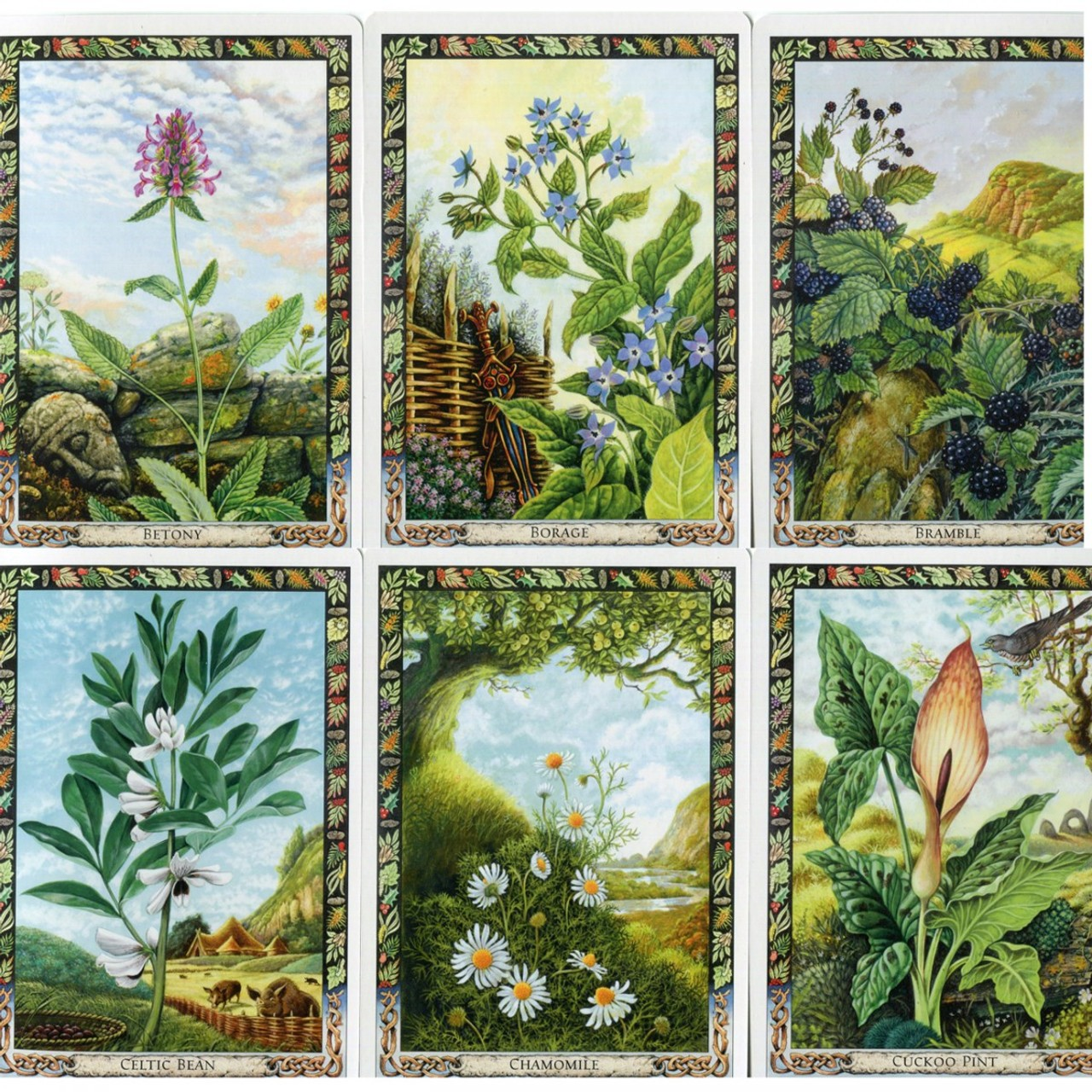 Tarot Cards of the Fairies | The Scarab | Giacinto Gaudenzi