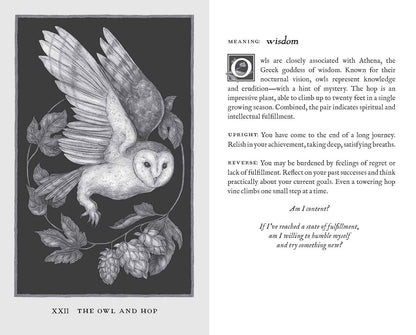 Woodland Wardens | Oracle Cards | Andrews McMeel Publishing