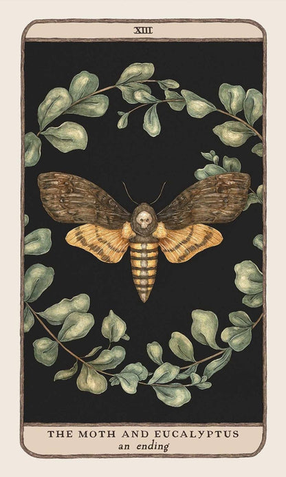 Woodland Wardens | Oracle Cards | Andrews McMeel Publishing