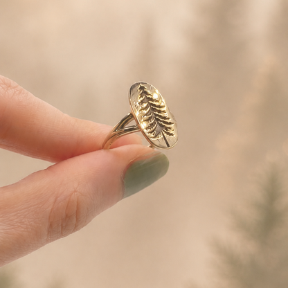 Anello Pino inciso in Bronzo