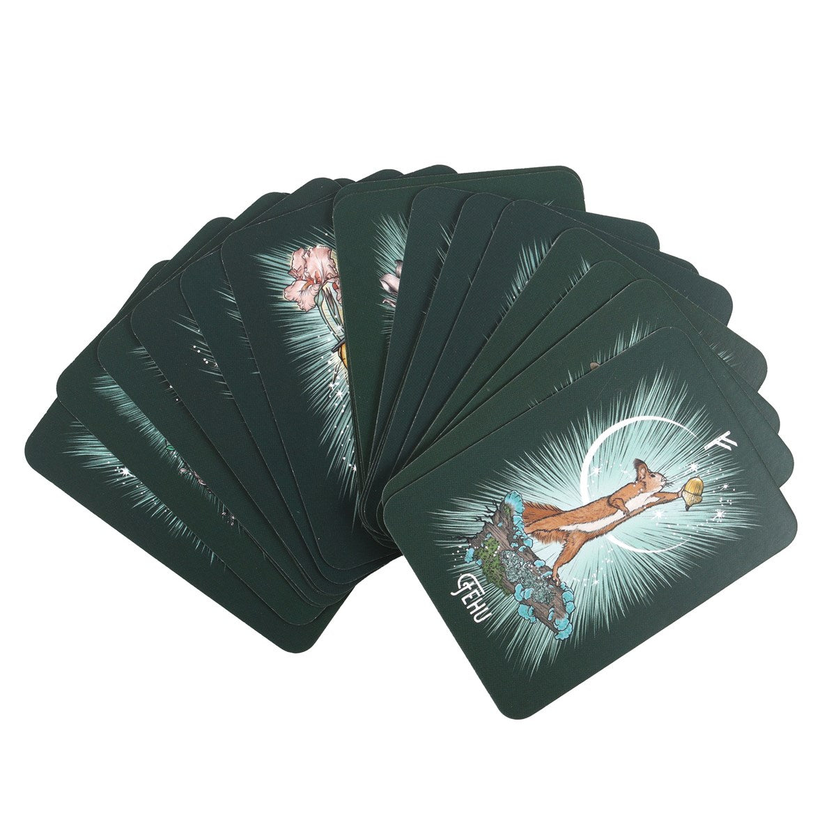 The Witch’s Familiar Runic | Carte Oracoli | Athene Noctua