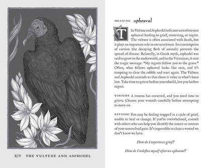 Woodland Wardens | Oracle Cards | Andrews McMeel Publishing