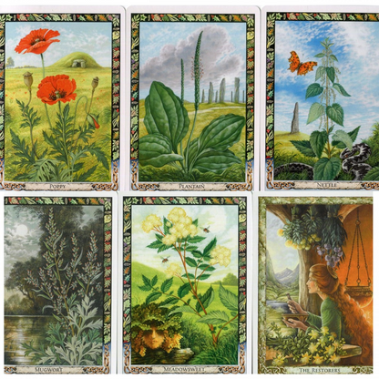Tarot Cards of the Fairies | The Scarab | Giacinto Gaudenzi