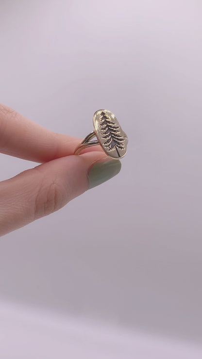 Anello Pino inciso | Bronzo